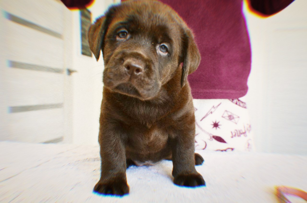 boy2